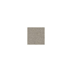 Canapé-lit Queen en parchemin - 85 L x 38 P x 37 H
